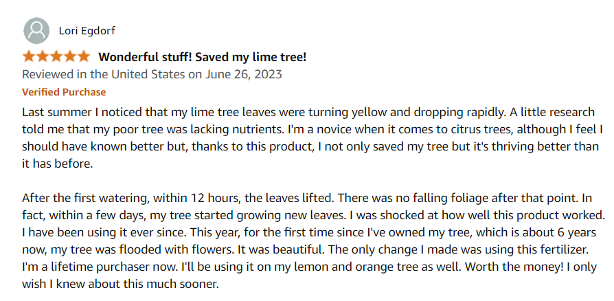 Amazon Review